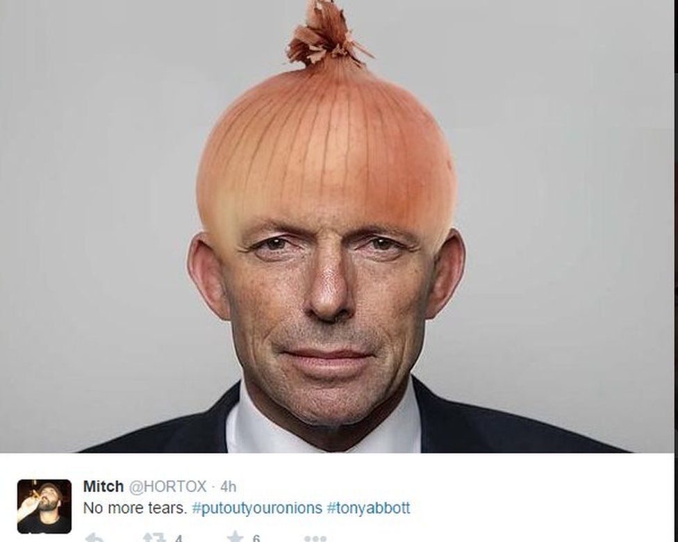 Tony Abbott with an onion for a head