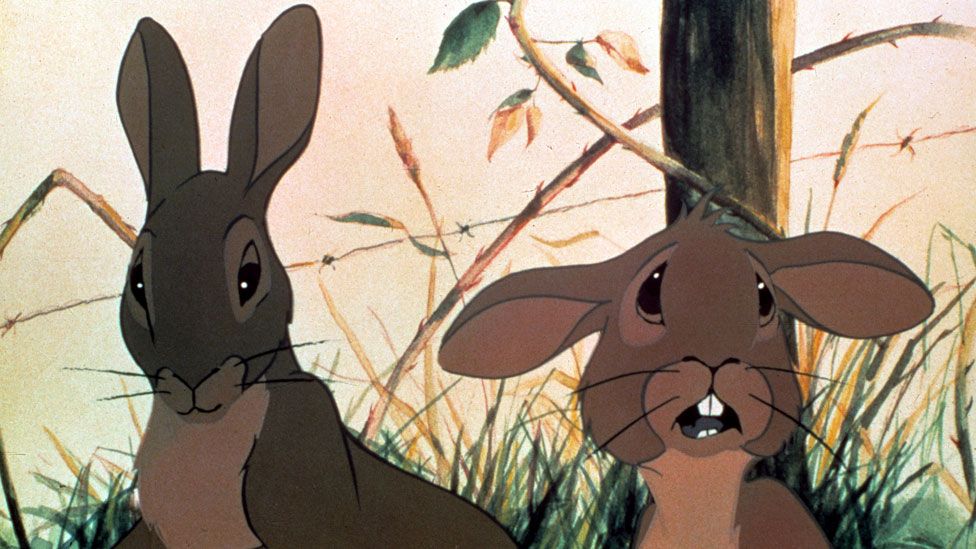 'Hazel' and 'Fiver' in Watership Down