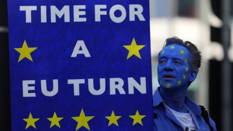 Anti-Brexit protester