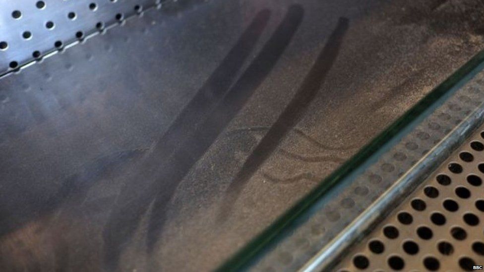 Image shows dust on glass with clear finger marks