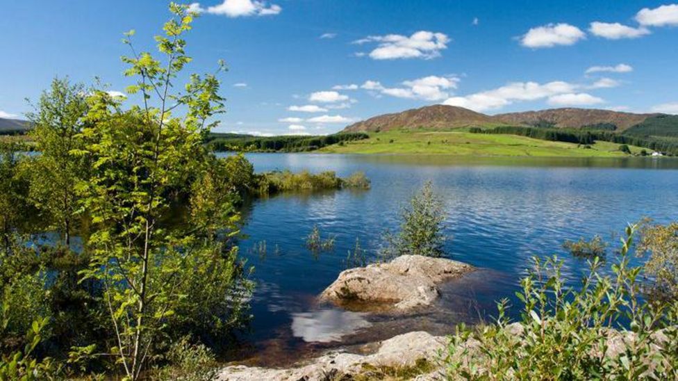 Farming concerns persist over Galloway national park bid - BBC News