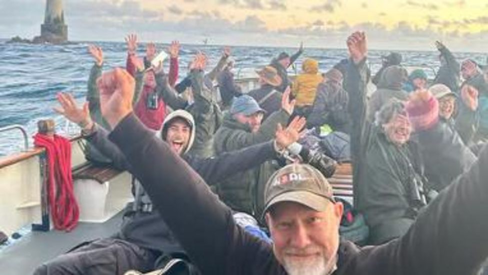 Hundreds flock to Isles of Scilly for rare seabird - BBC News