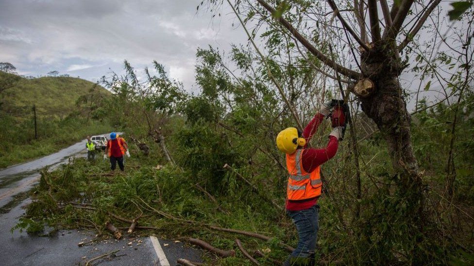 Workers remove fallen trees from the highway after Hurricane Fiona in the Dominican Republic.