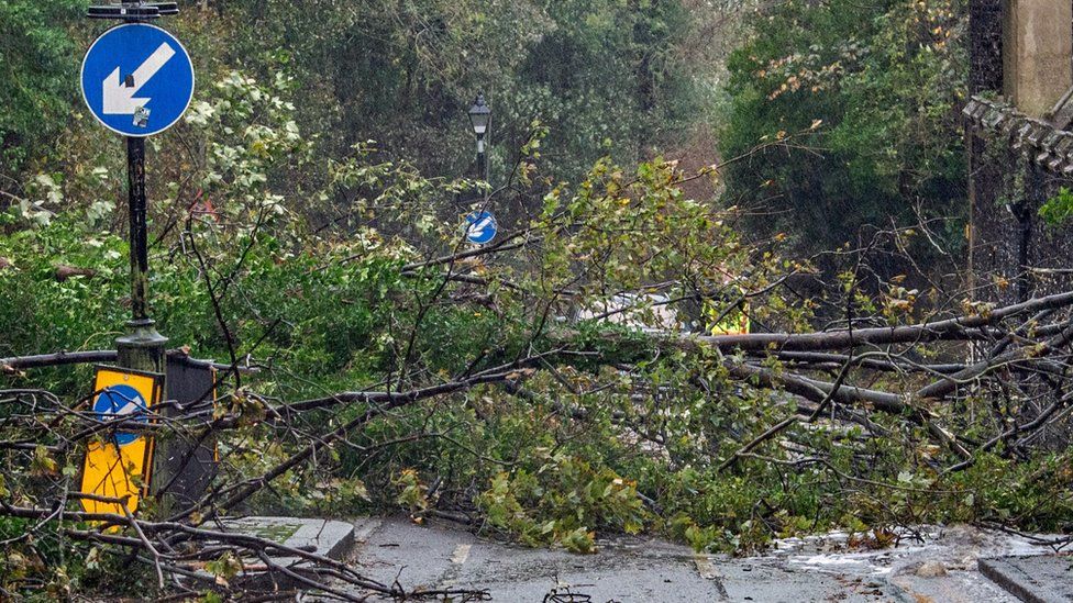 Fallen trees block the road during Storm Ciaran in Dover, Kent, Britain.