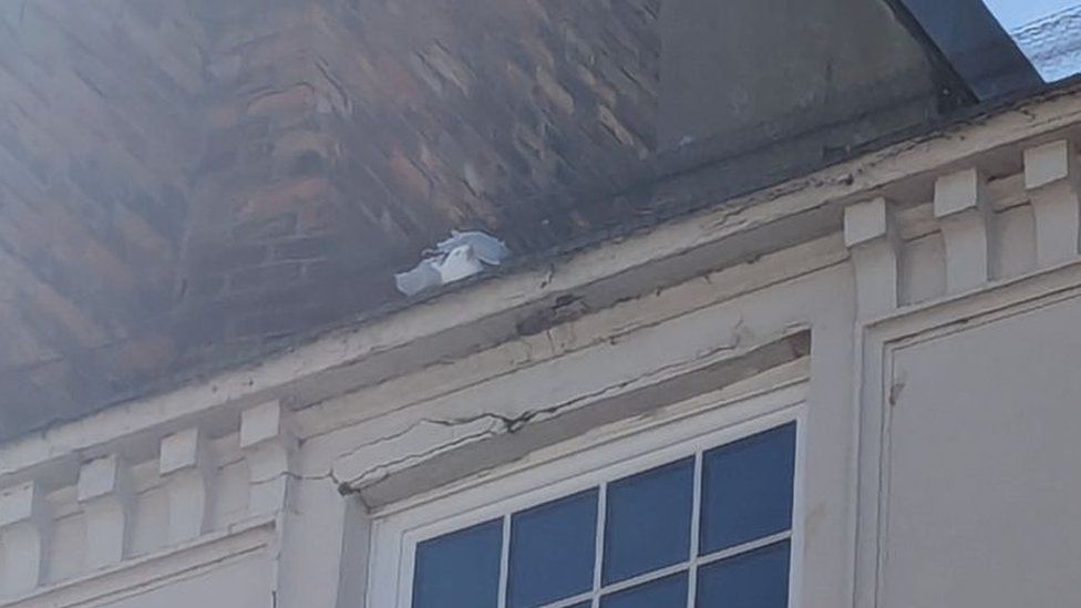 The seagull trapped on top of the building