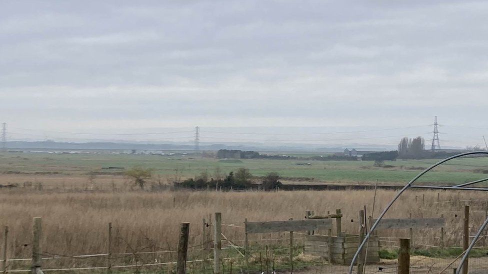 Cleve Hill Solar Farm, Graveney, near Faversham