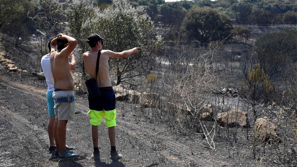 A man gestures as he shows the burnt countryside after a brushfire hit the country around Saint Gilles