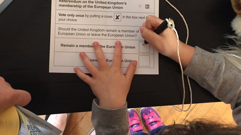 The tweet showed Claire Hanna's daughter holding a pencil with her hand on the ballot paper for the EU Referendum