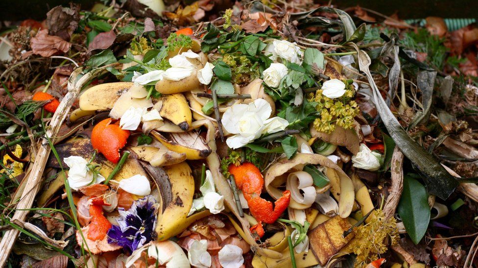 food waste bolsas tesco