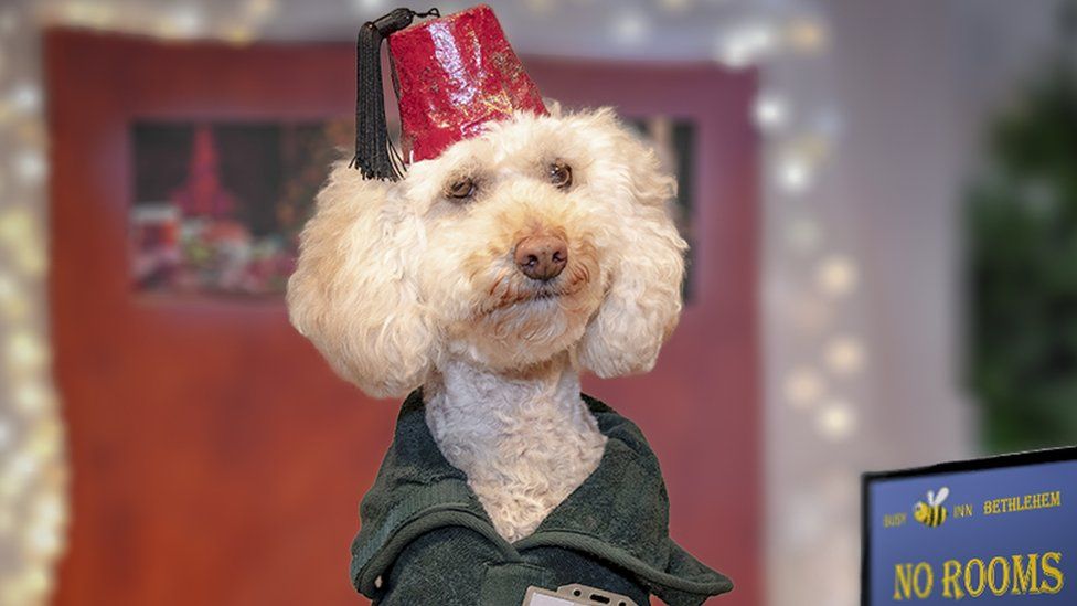 A dog dressed as the inn keeper in the Dogtivity