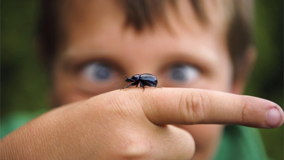 child with bug on finger