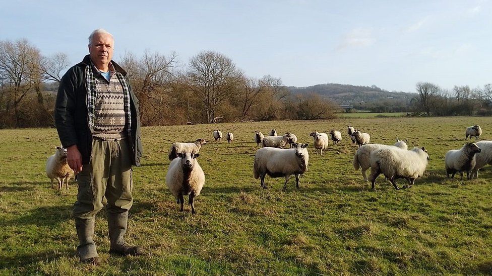 A famer with some of his sheep in a field