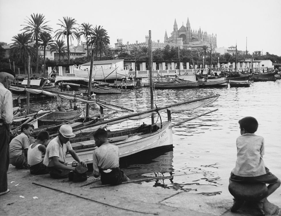 The harbour in Palma