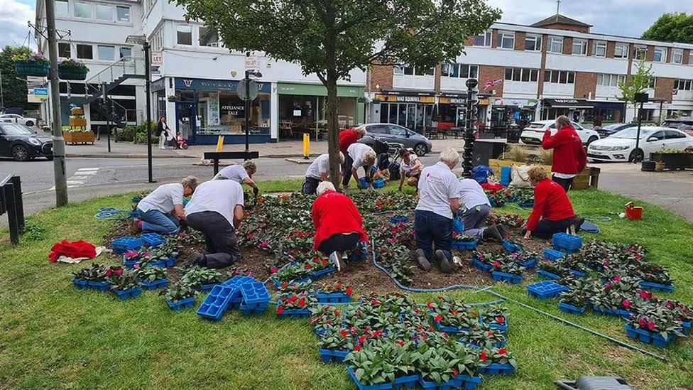 Volunteers works to increase biodiversity in the town