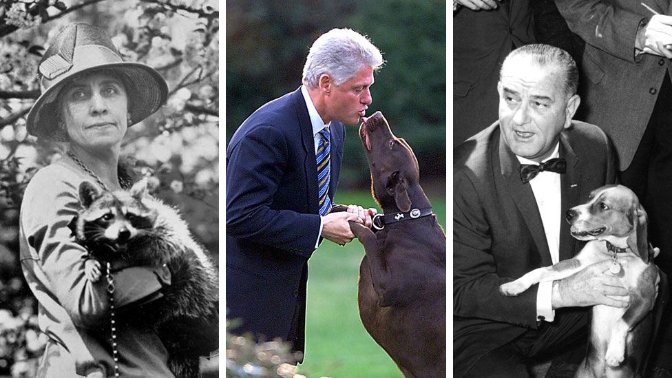 Composite image of a first lady and two presidents with their pets