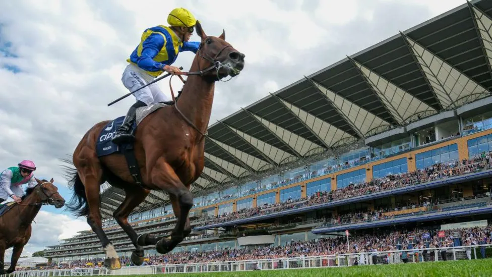 Longshot Goliath Stuns with 25-1 Victory in King George at Ascot.