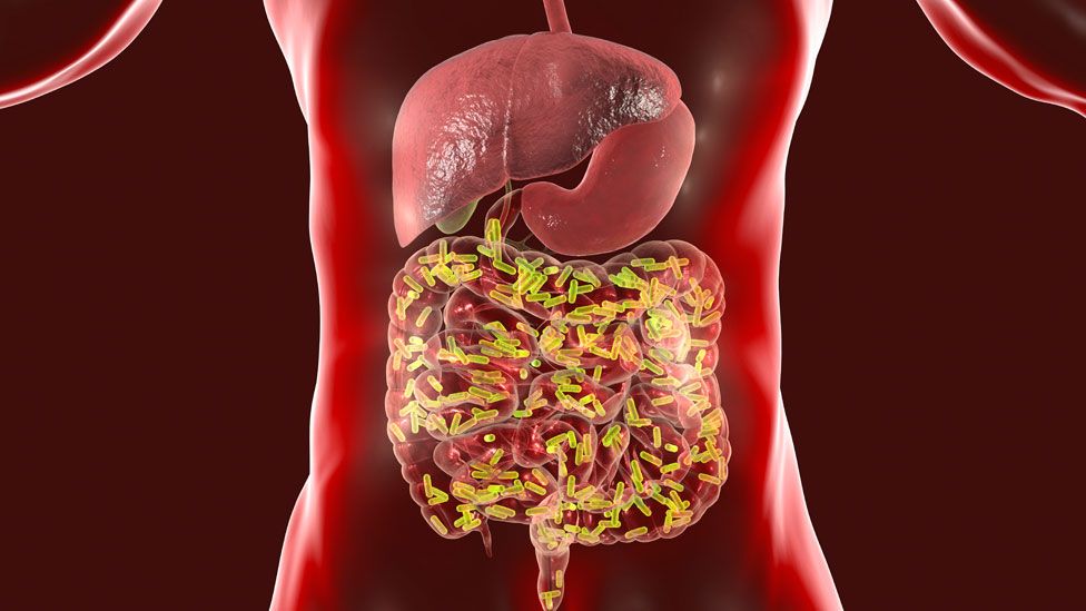 definicion de enfermedad bacteriana
