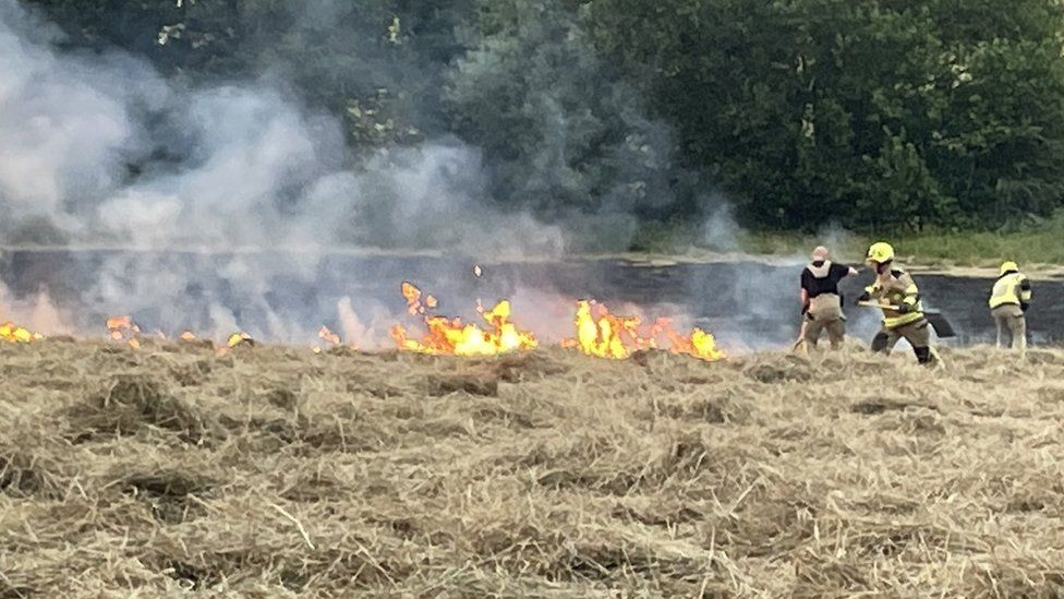 Rotherham wildfire in fields believed to be deliberate BBC News