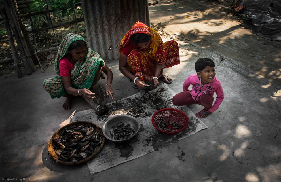 Two women and a child squat outside as they process fish: