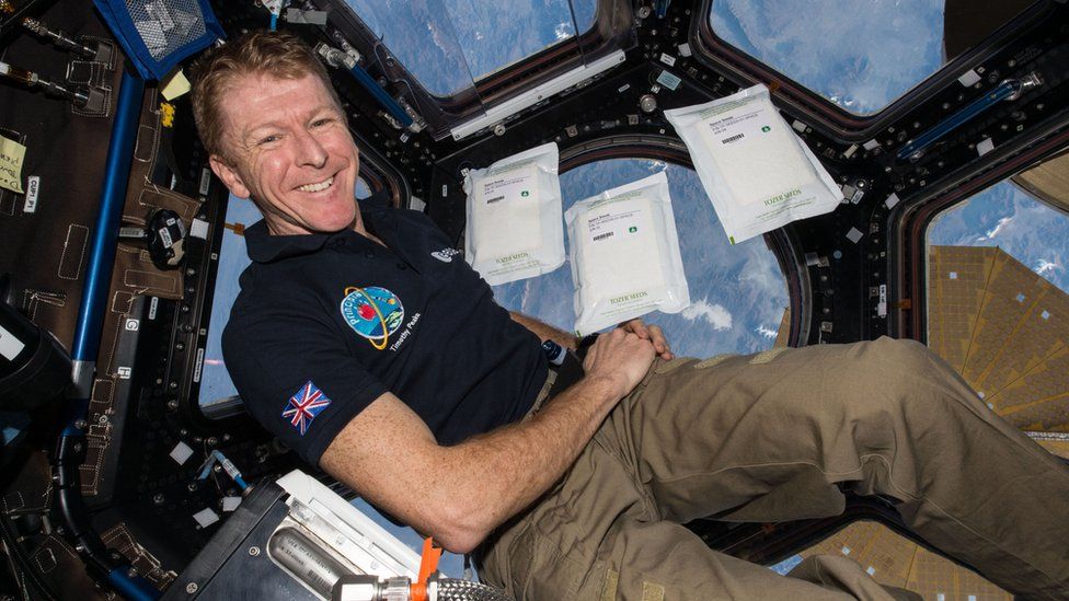 Британский астронавт Тим ​​Пик на борту Международной космической станции