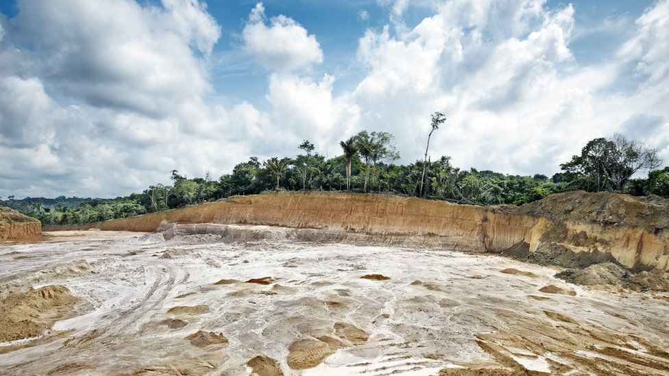 Вырубка лесов в Амазонии достигла рекордного уровня при президенте Болсонару