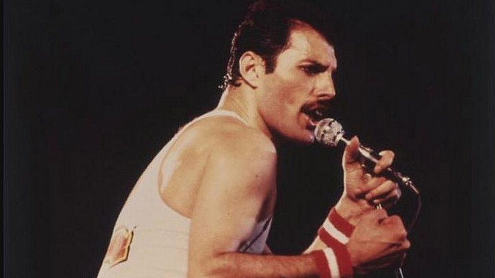 Bohemian Rhapsody: Critics say Freddie Mercury film is a kind of