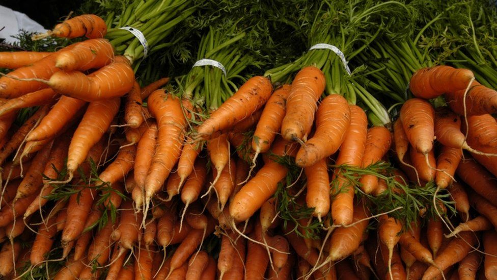 A pile of recently harvested bunched carrots