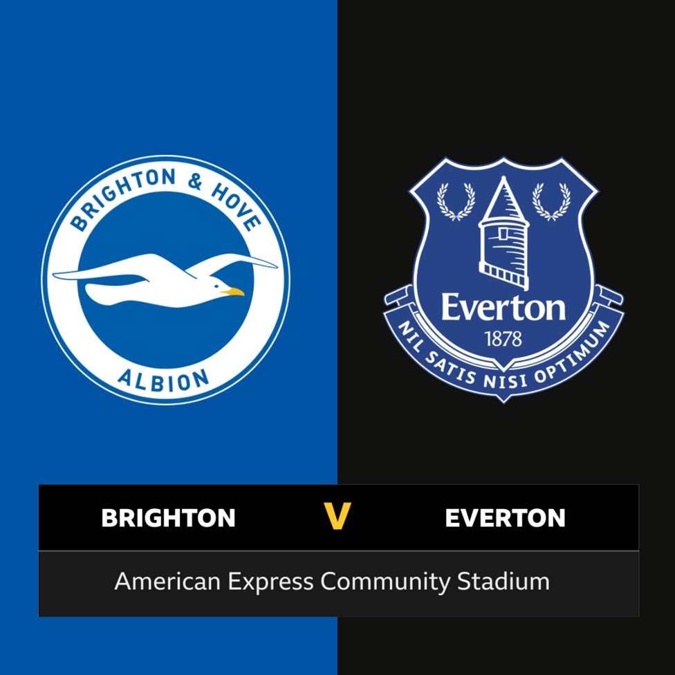 Follow Brighton Vs Everton Live - BBC Sport