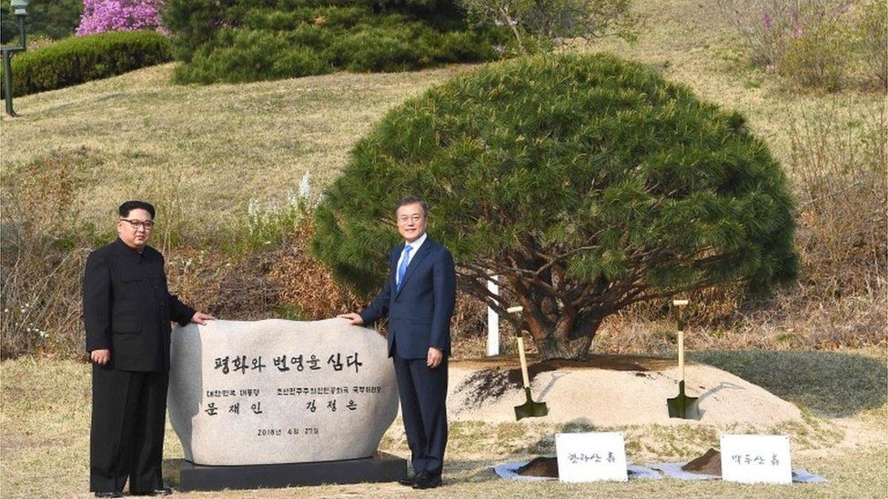 Kim Jong-un and Moon Jae-in plant a tree