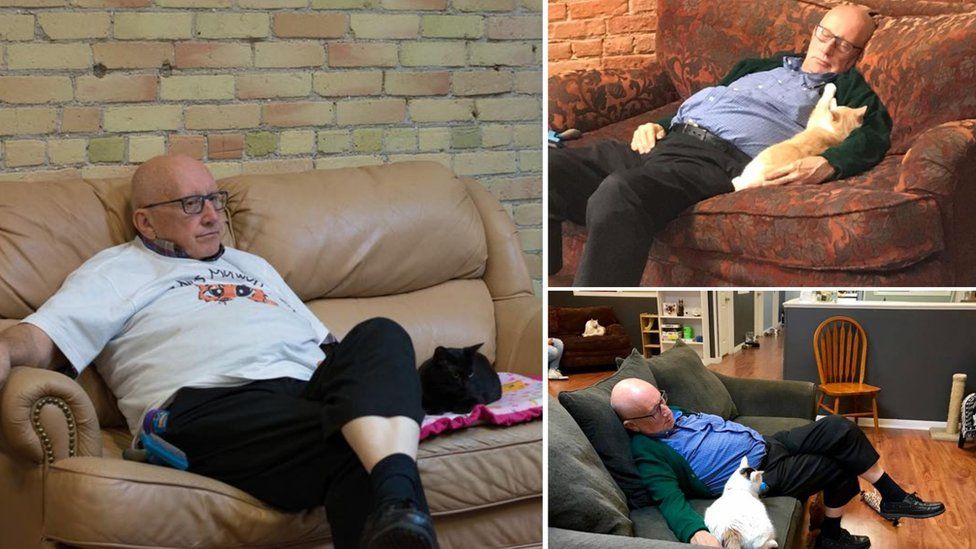 Collage photograph of three shots with Terry and the cats on the sofa
