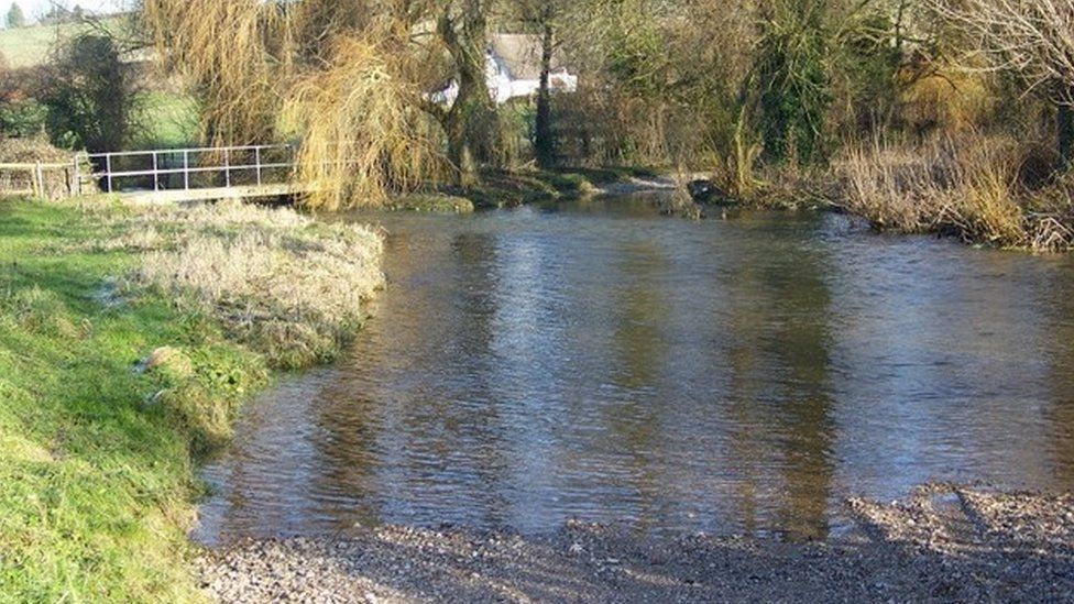 River Tarrant at Tarrant Rushton