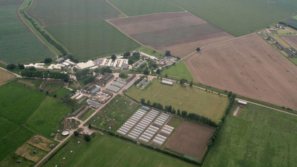 Aerial view of North Sea Camp