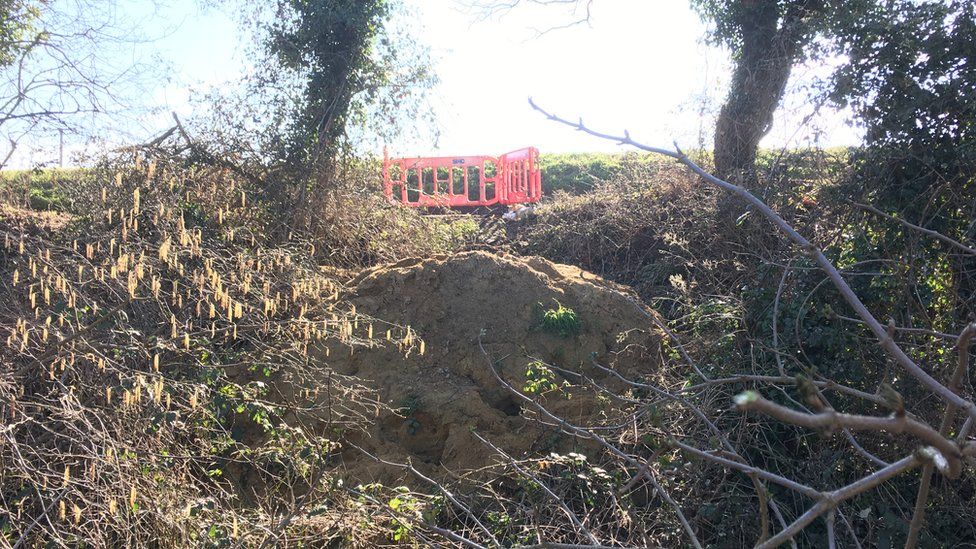 The top of the badger sett