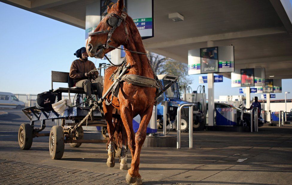 Horses pulling a cart are seen at a fuel station after the owners checked tire pressure on the carts in Soweto, Johannesburg, South Africa, June 15, 2017.