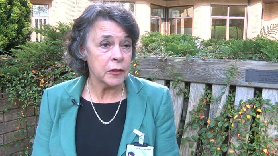 Powys council leader Rosemarie Harris