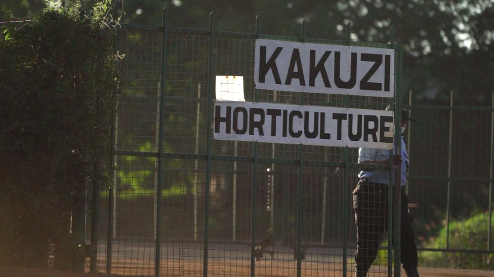 A female security guard closes a gate at Kakuzi farm