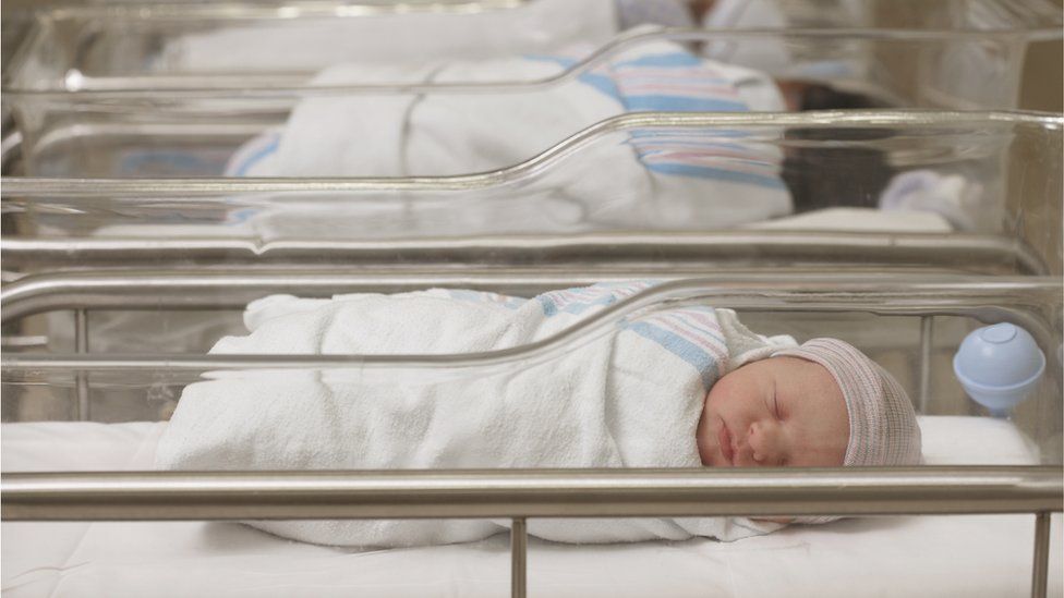 Babies in hospital nursery