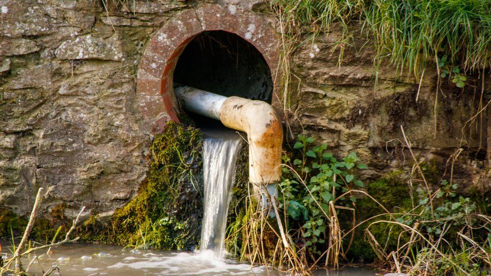 Water flowing from a drain into a river