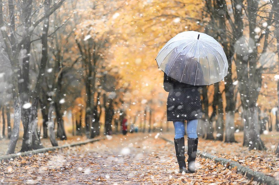 A woman walking through a park with an umbrella