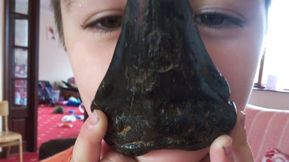 Six-Year-Old Boy Finds Giant Megalodon Shark Tooth on Bawdsey Beach in Suffolk