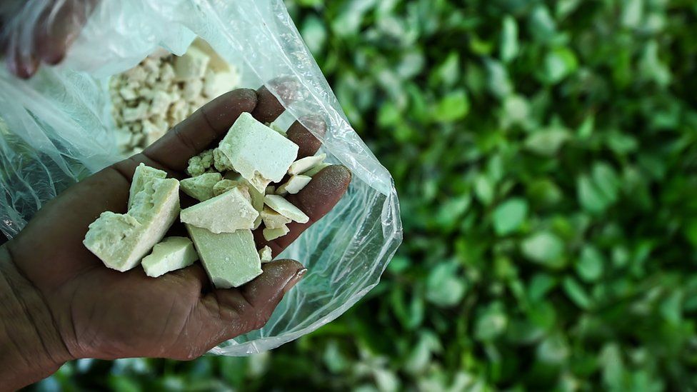 Colombia signs 300m UN deal to fight cocaine production BBC News