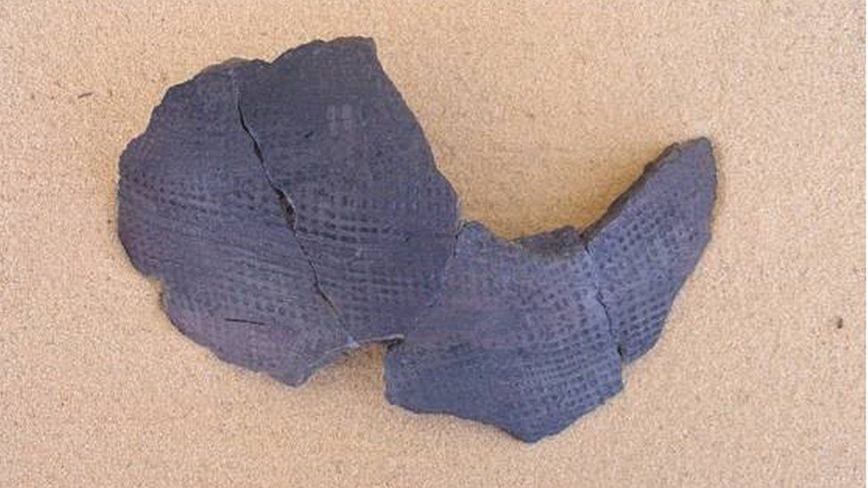 A fragment of pottery