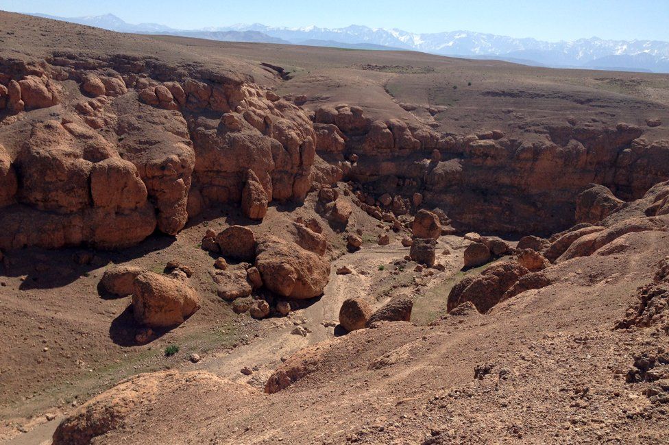 Part of the course