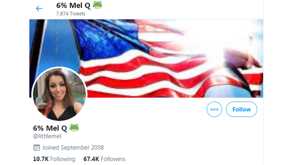 Twitter banner of 'Mel Q' who tweets about Covid-19 conspiracy theories and QAnon