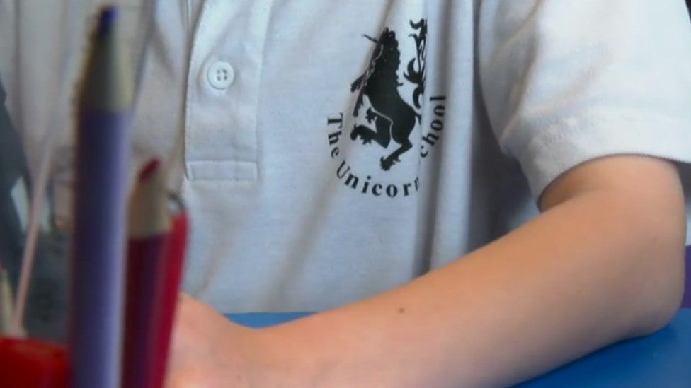 Unicorn School logo on shirt