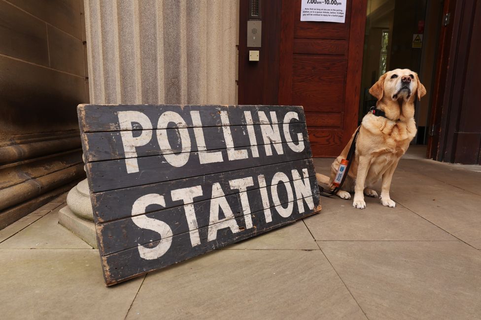 A guide dog in training sits outside Weston Park Museum polling station in Sheffield