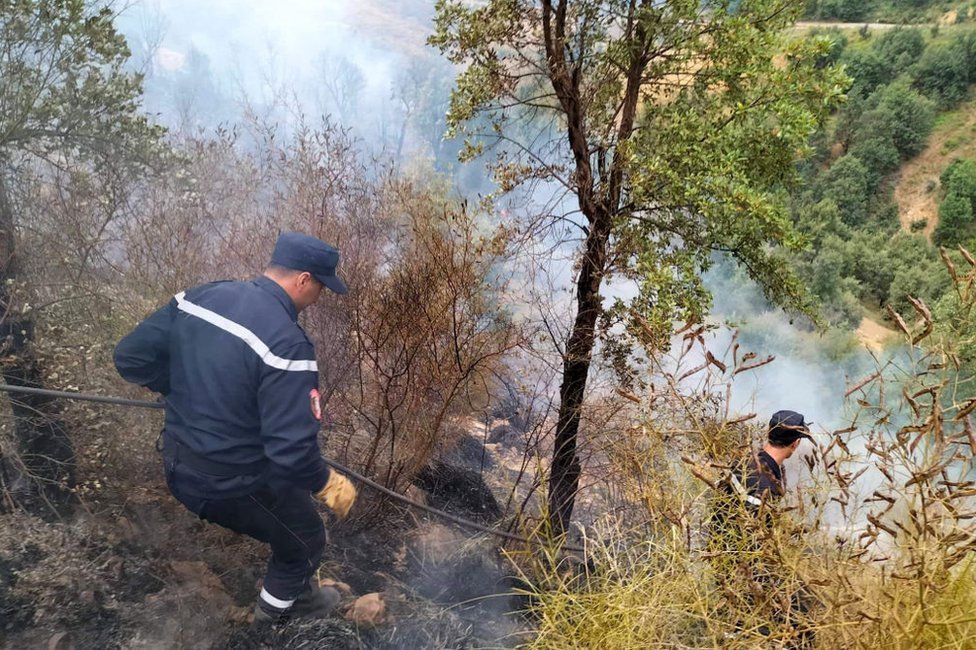 Firefighters respond to a wildfire in Setif, Algeria, on 17 August.