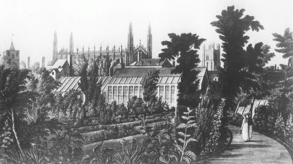 Previous Cambridge University Botanic Garden c 1820?