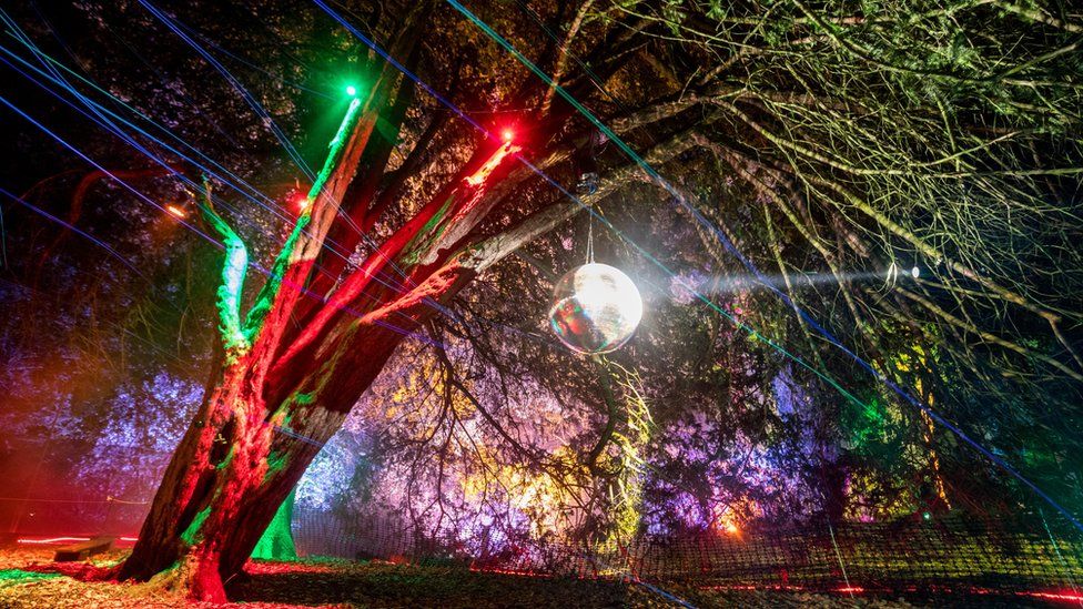 Westonbirt Arboretum is transformed into an illuminated winter wonderland BBC News