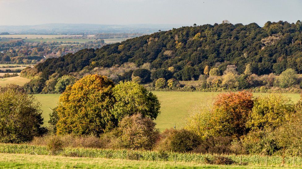 Watlington Hill estate, Oxfordshire